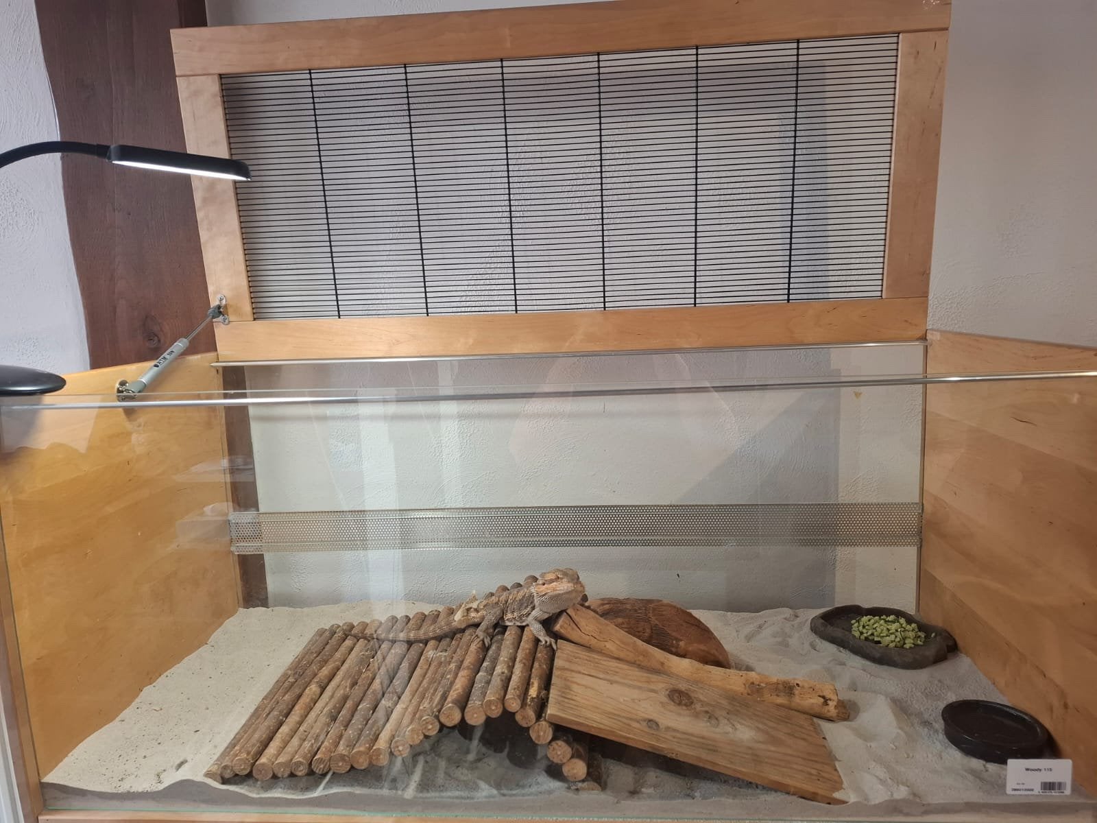 Terrarium avec lampe chauffante, Dieren en Toebehoren, Knaagdieren en Konijnen | Hokken en Kooien, Zo goed als nieuw, Ren, Minder dan 60 cm