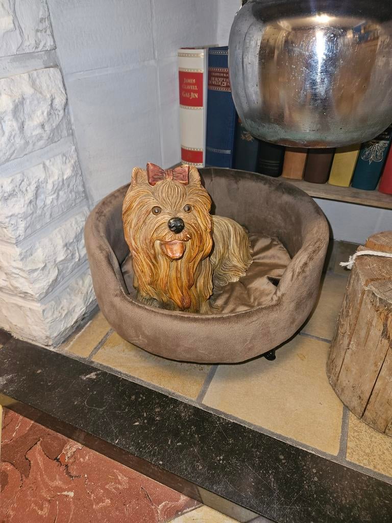 Beeld Yorkshire Terrier, Ophalen