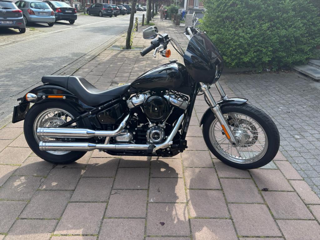 Harley Davidson softail standard, Occasion, Plus de 35 kW, Chopper, 2 cylindres