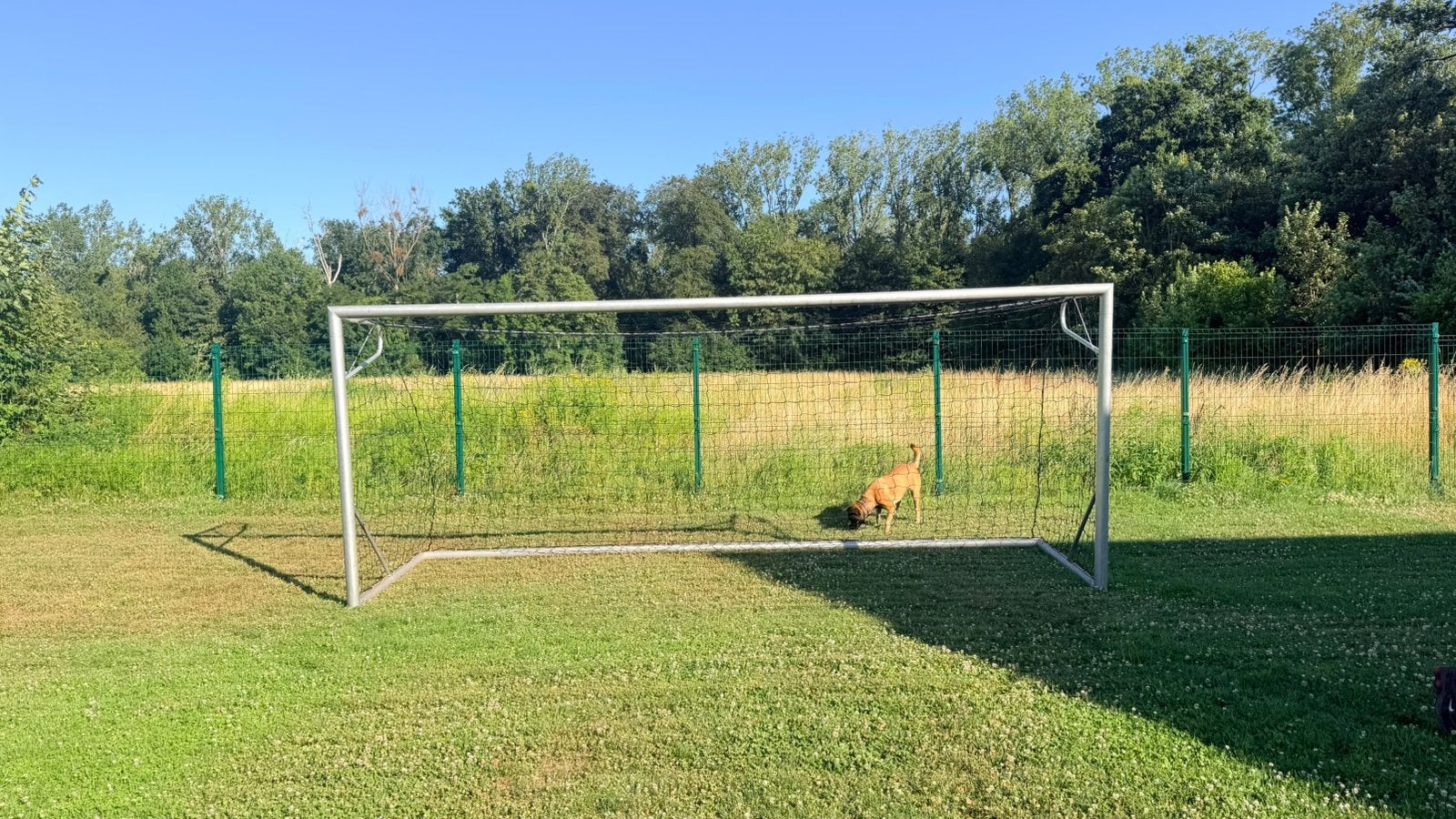 Goal, Sports & Fitness, Enlèvement