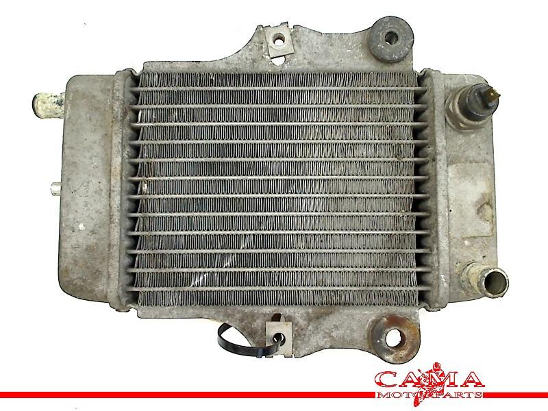 RADIATEUR Honda SES 150 Dylan (SES150) (01-1970/-) (614030), Motoren, Dhr. S. di Majo, Gebruikt, Info@cama-motorparts.nl, P.J. Troelstraweg 8 8
3144 CX  MAASSLUIS, NL