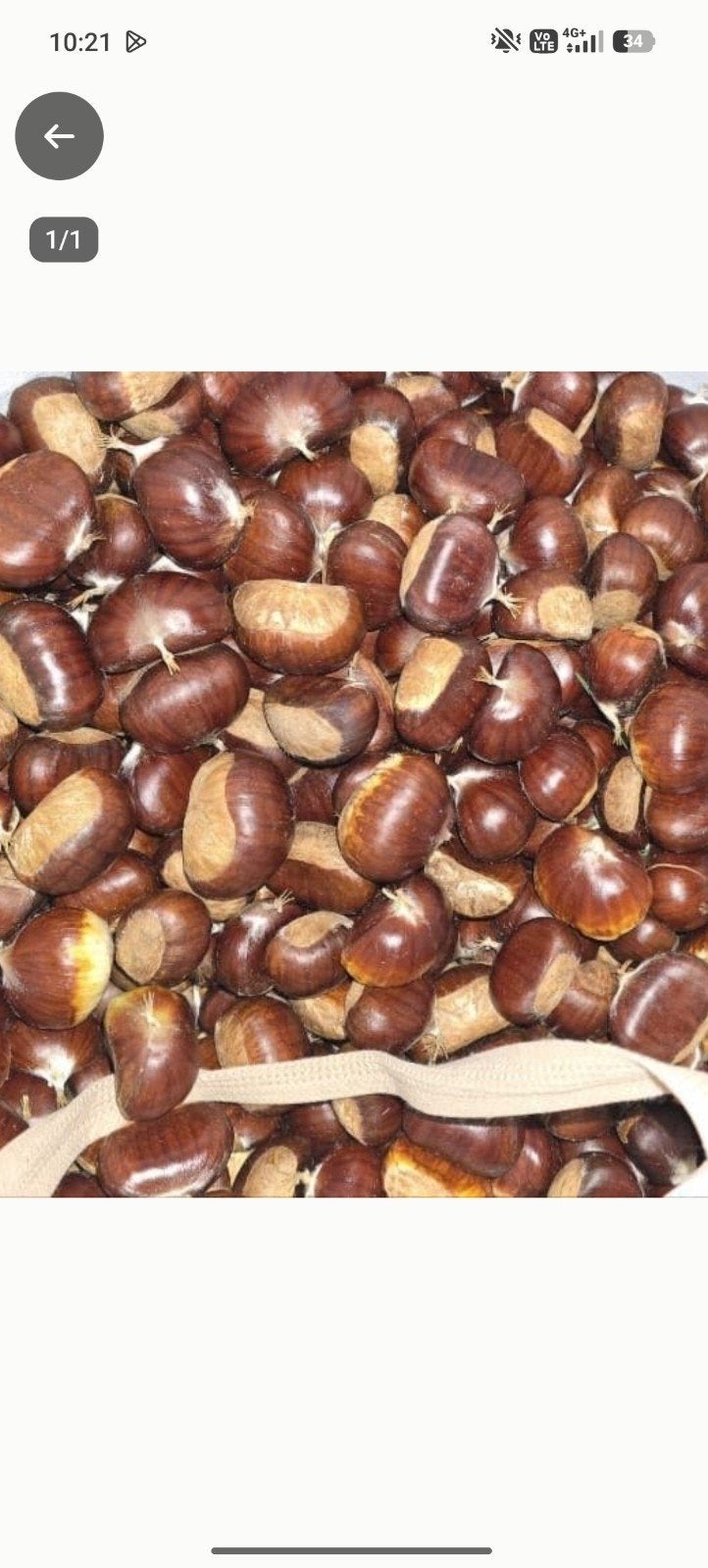 kastanje, Diversen, Ophalen of Verzenden