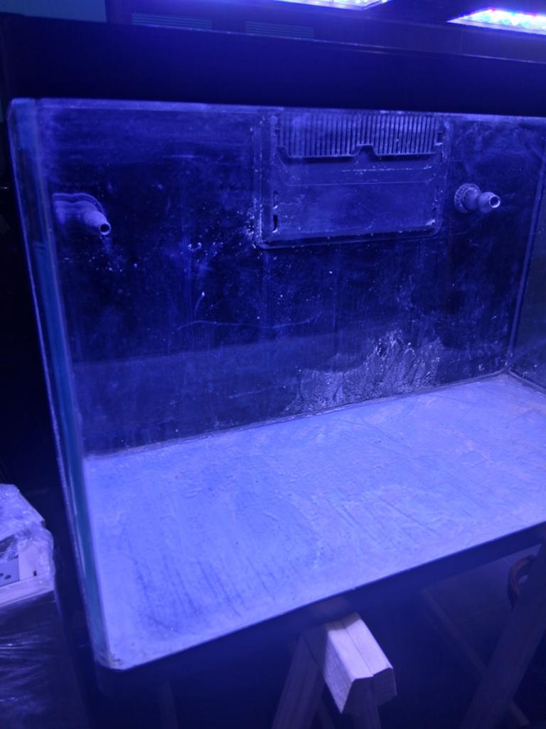 Zeeaquarium, Ophalen