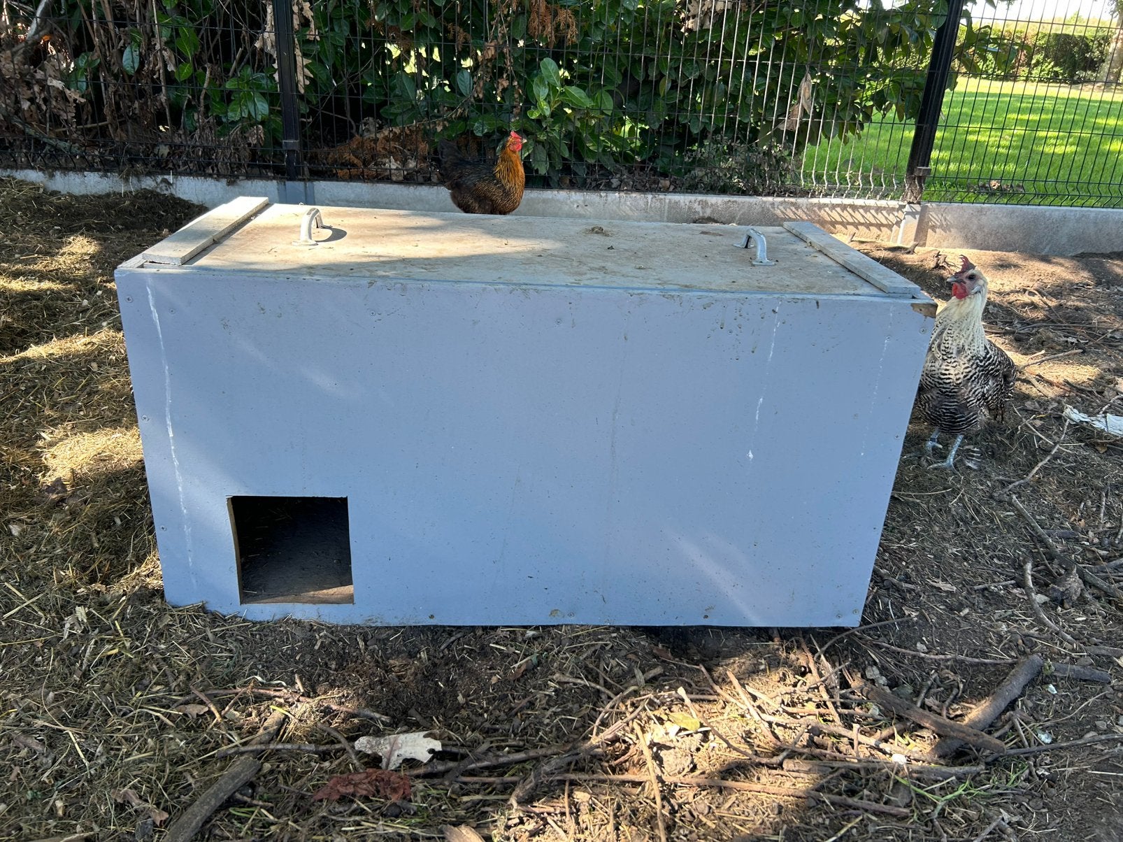 Houten bak GRATIS, Dieren en Toebehoren, Gebruikt, Hok, 75 tot 110 cm, Cavia