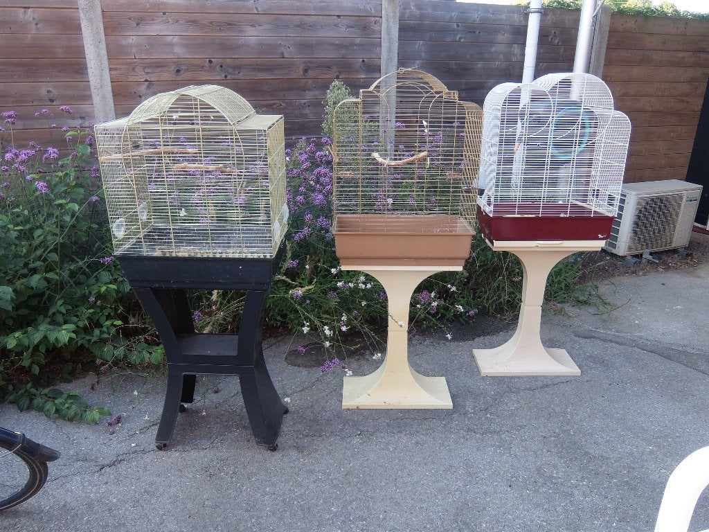 Vogelkooien, Enlèvement, Utilisé, Métal, Cage à oiseaux