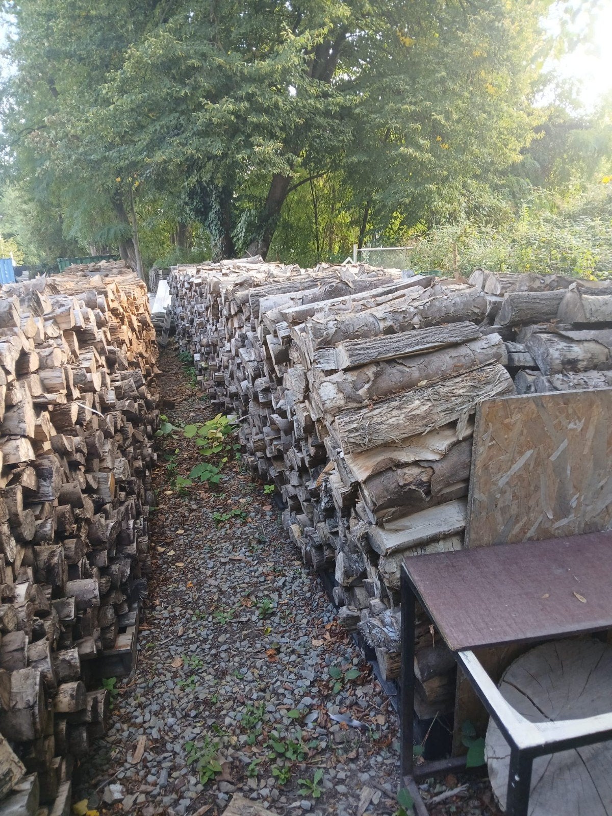 Bois sec de chauffage, Jardin & Terrasse, 6 m³ ou plus, Enlèvement ou Envoi, Hêtre, Bûches