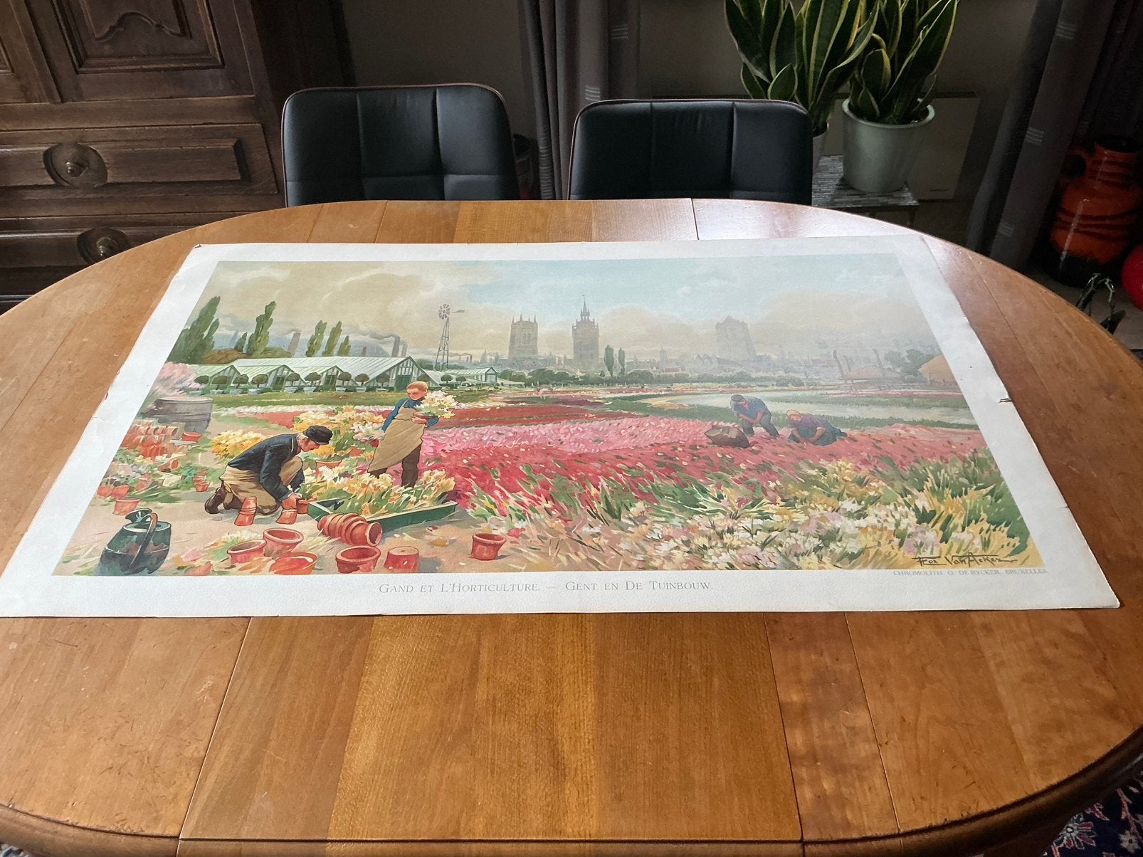 Gent en de tuinbouw/chromolith/Flor.van Acker, Ophalen
