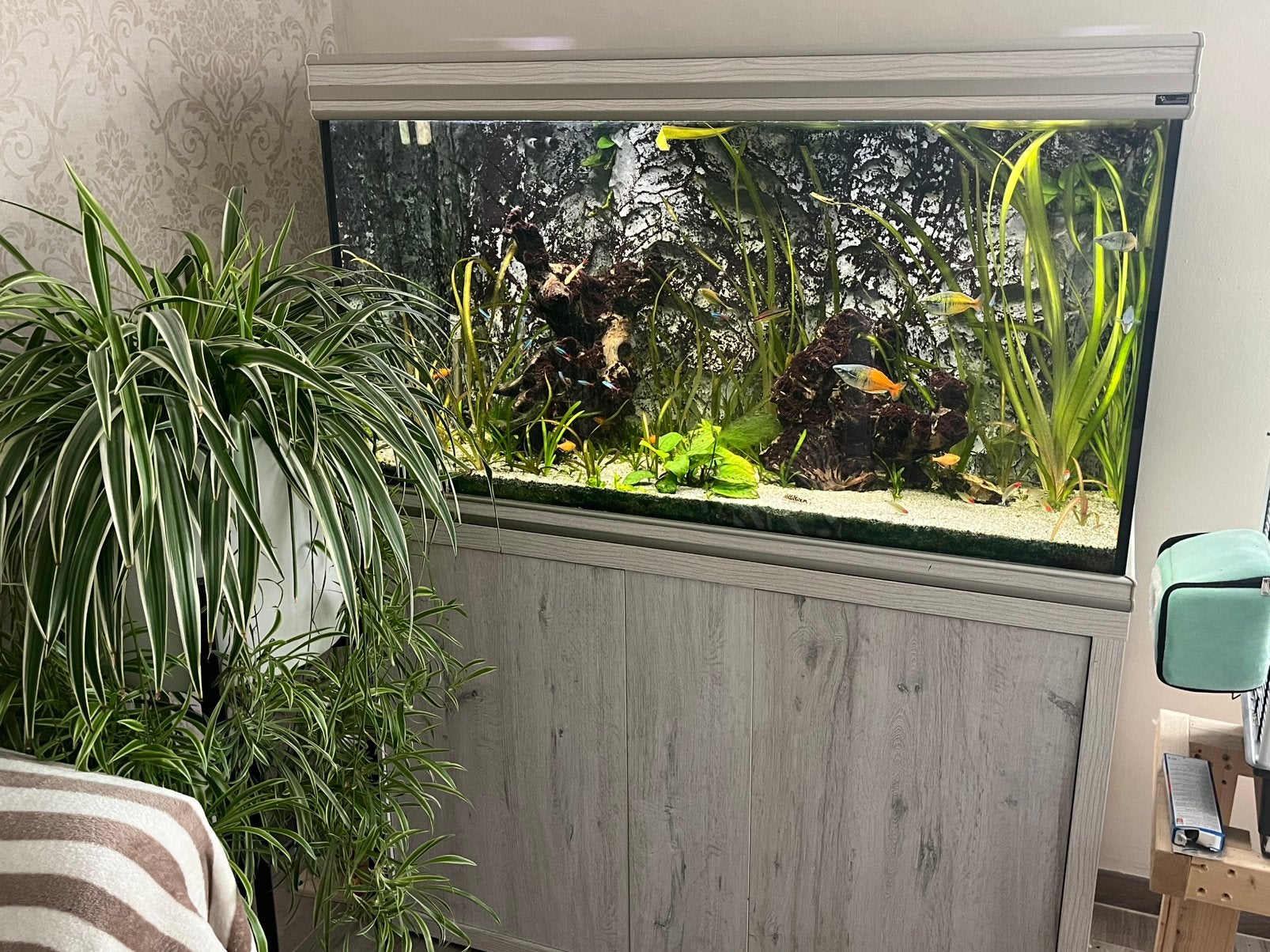 Aquatlantis aquarium. 1,20 x 0,70 x 0,5. (420 liter), Dieren en Toebehoren, Ophalen, Gebruikt, Inclusief vissen, Aquatlantis