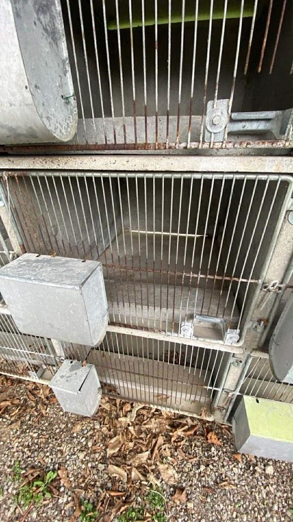 CLAPIER POUR LAPIN EN BETON, Lapin, Comme neuf, Enlèvement, Autres types