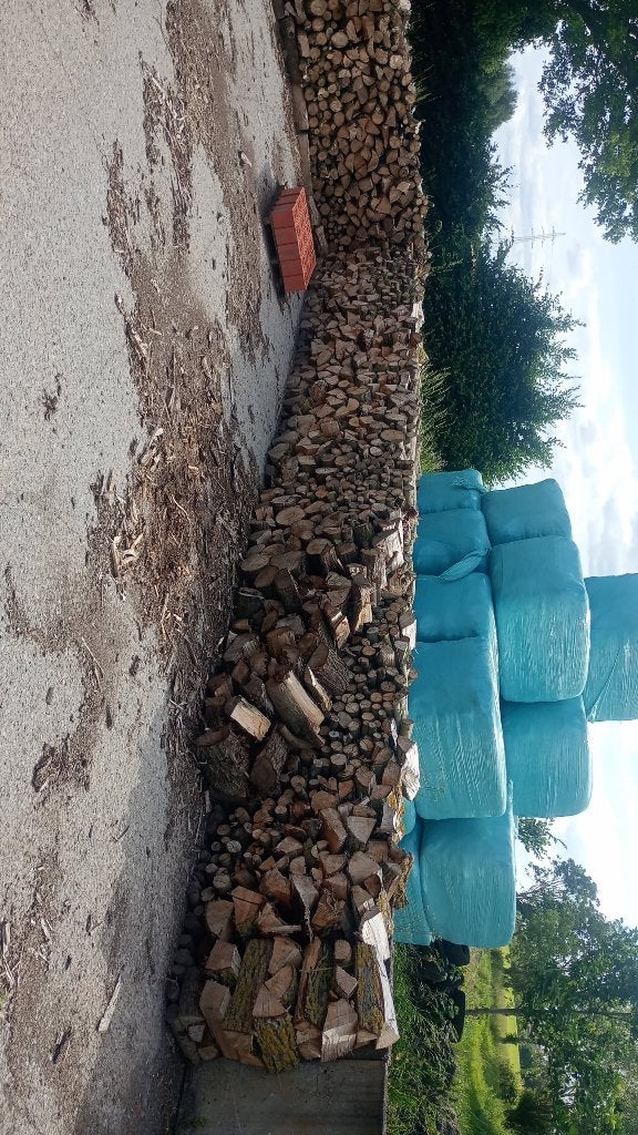 Hout, 6 m³ of meer, Ophalen, Essenhout, Blokken