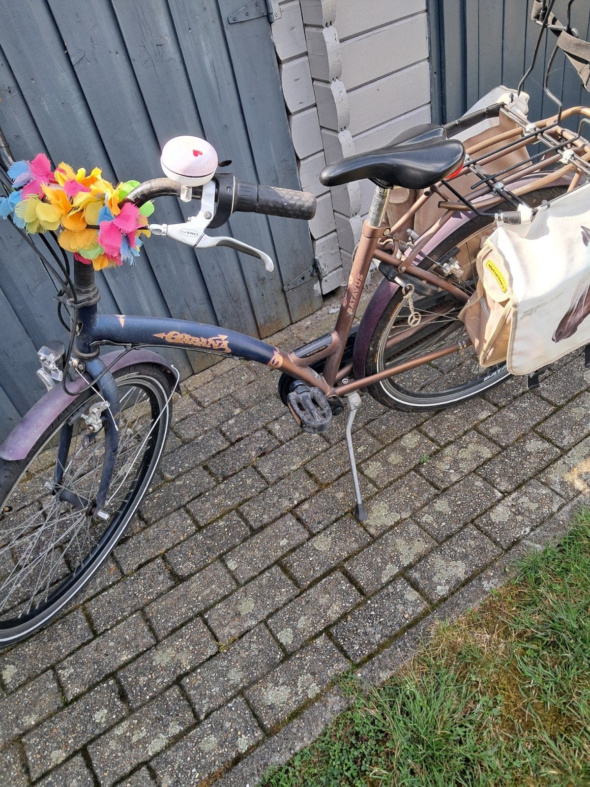 fiets, Fietsen en Brommers, Ophalen, BATAVUS