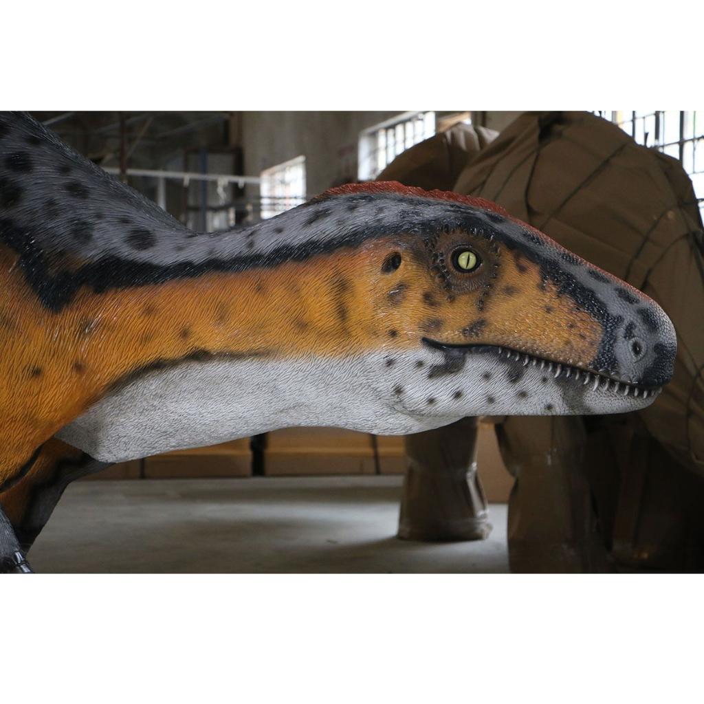 Dinosaures, théropode adulte — Statue de dinosaure, 519 cm, Enlèvement, Neuf