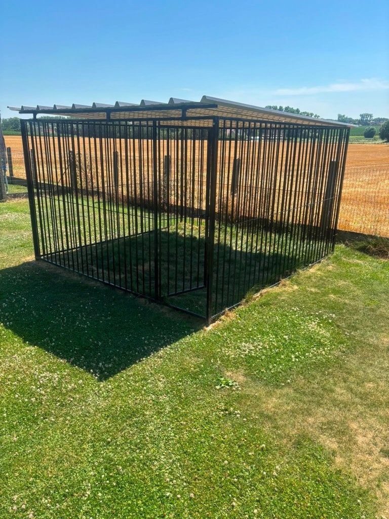 Hondenren 3x3m met deur - 8 cm spijl, Ophalen, Hondenkennel, 110 cm of meer, 100 cm of meer