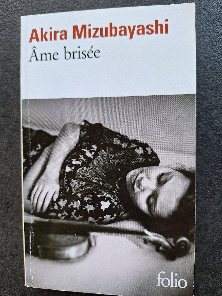 Ame brisée - Akira Mizubayashi, Livres, Enlèvement, Utilisé, Akira Mizubayashi