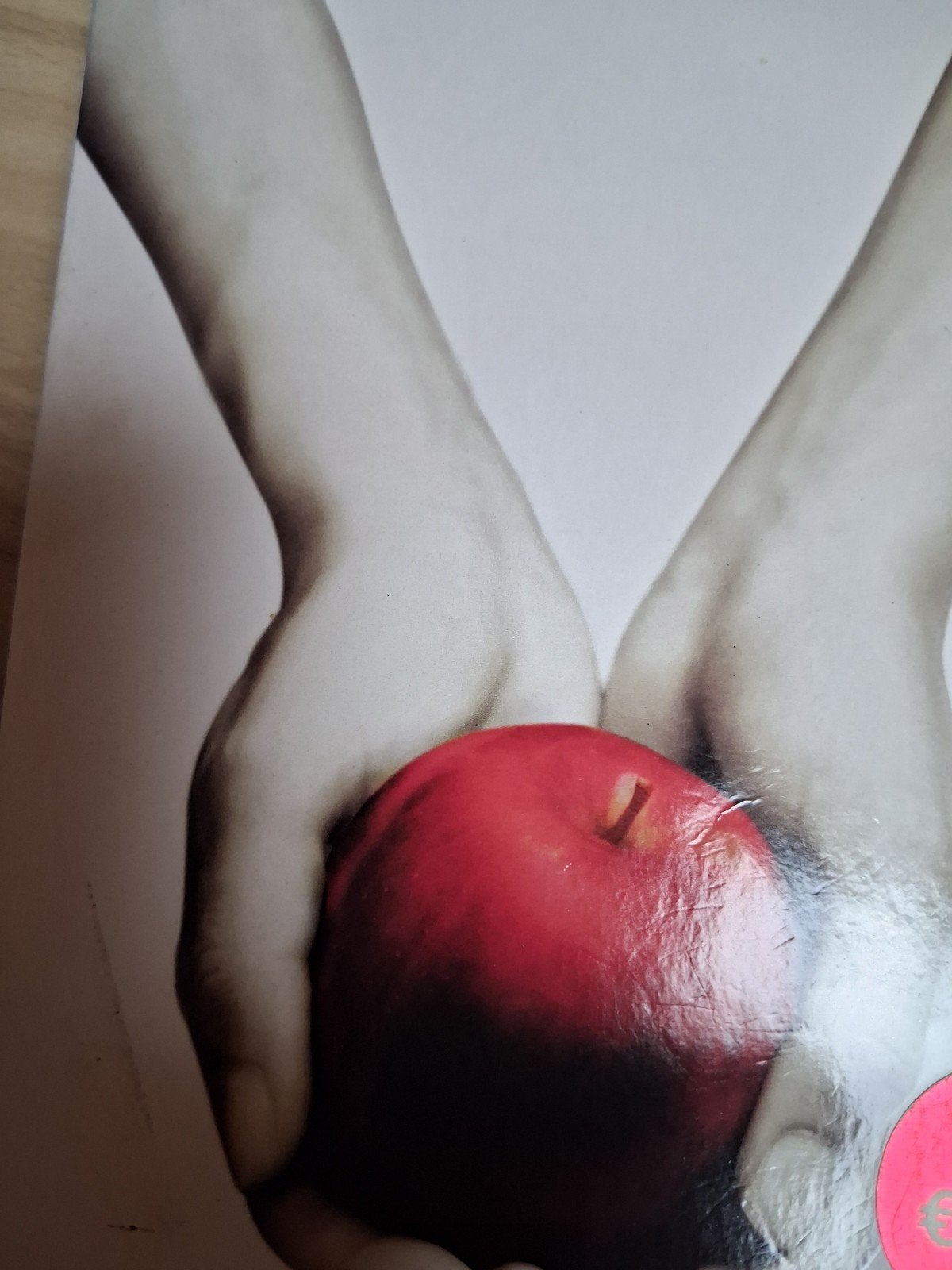 Stephenie Meyer - Twilight, Ophalen, Stephenie Meyer