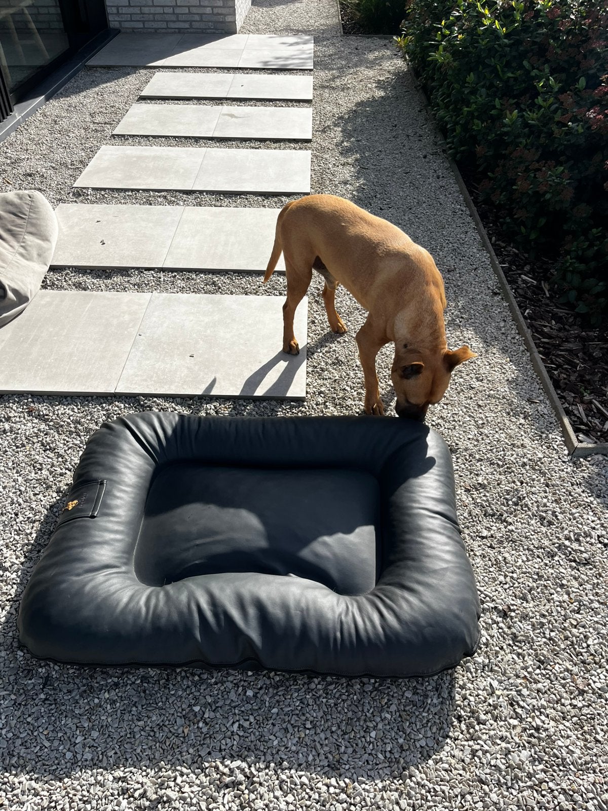 Hondenkussen in kunstleder merk Topdog, Dieren en Toebehoren, Ophalen, Zo goed als nieuw