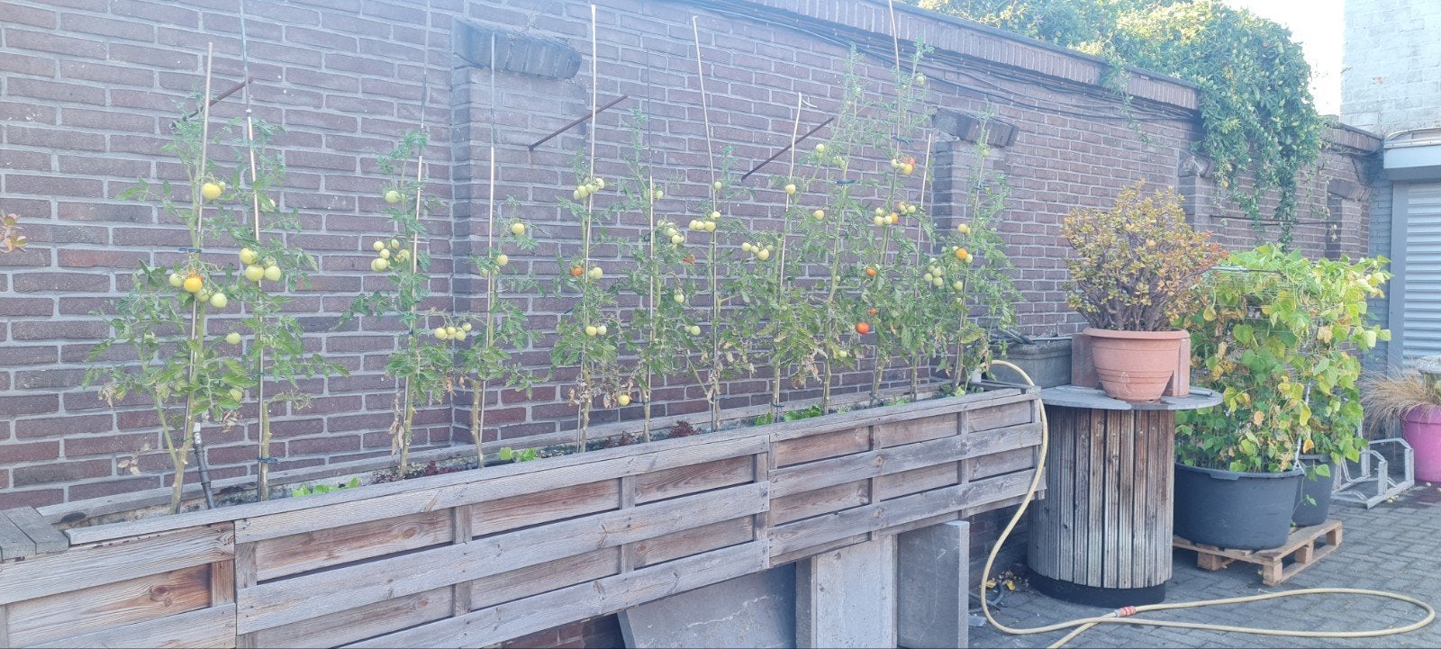 moestuin of planten  bak +/- 3000x 300 x250mm, Tuin en Terras, Ophalen, Overige materialen, 100 cm of meer, Binnen