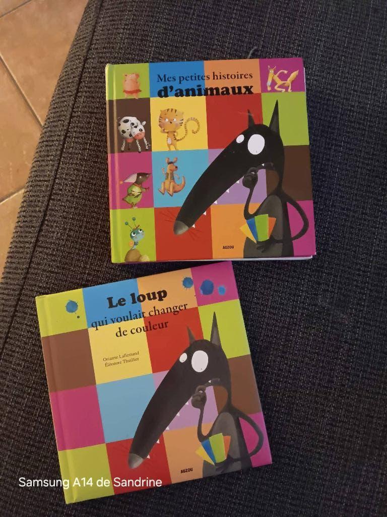 Livres enfants, Garçon ou Fille, Auzou, Enlèvement, Utilisé