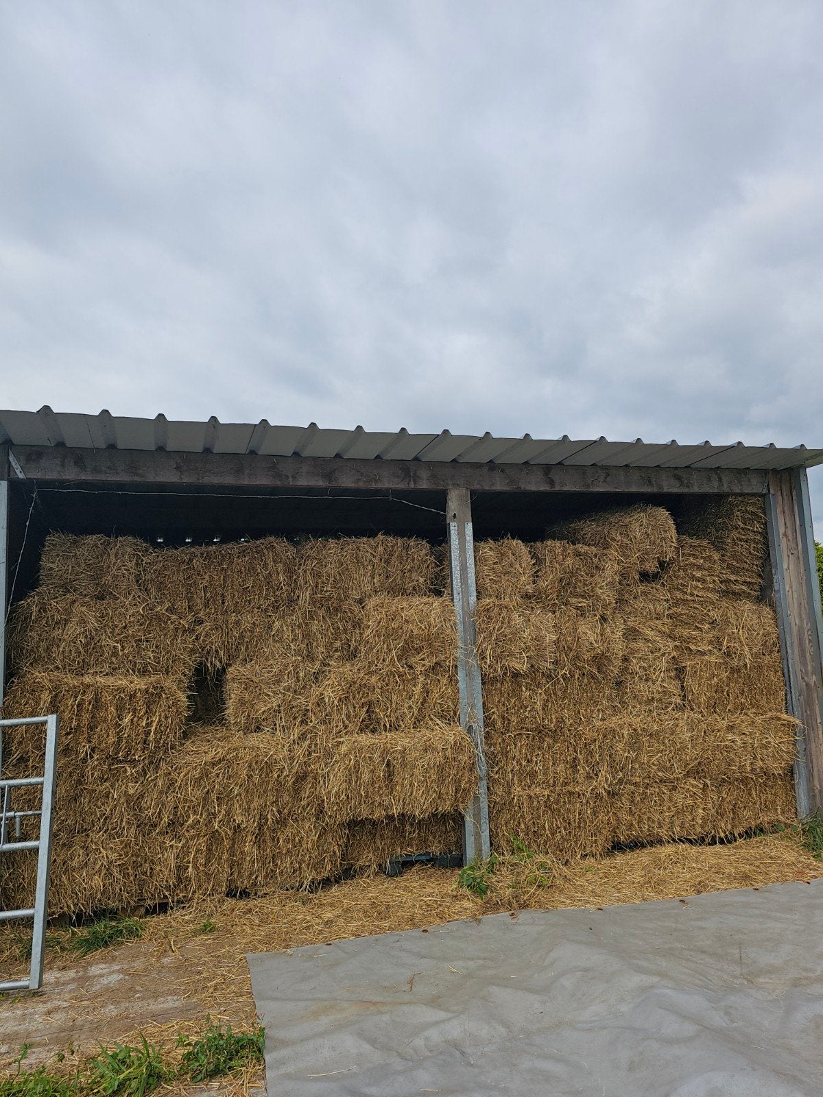Kleine botjes hooi te koop, Enlèvement