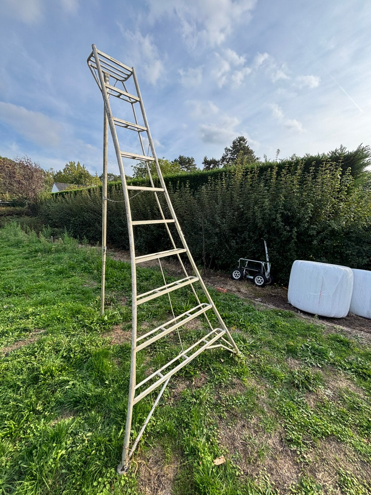 Ladder voor snoeiwerken, Doe-het-zelf en Bouw, Ophalen, Zo goed als nieuw, Ladder