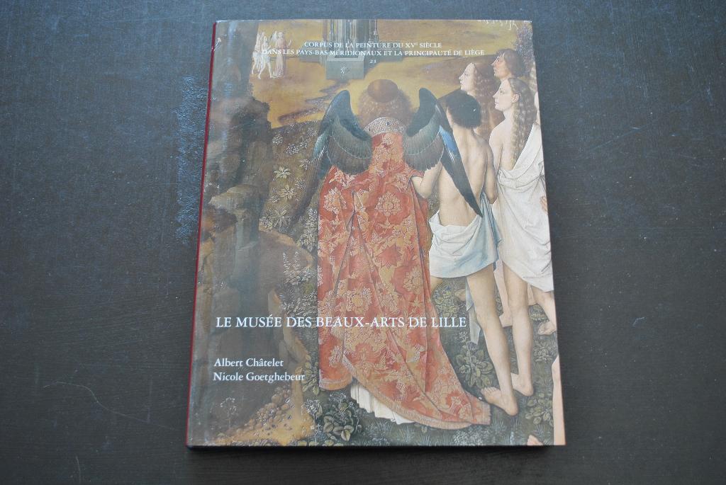 LE MUSEE DES BEAUX-ARTS DE LILLE CORPUS PRIMITIFS FLAMANDS, Livres, Enlèvement ou Envoi, Utilisé, Peinture et dessin
