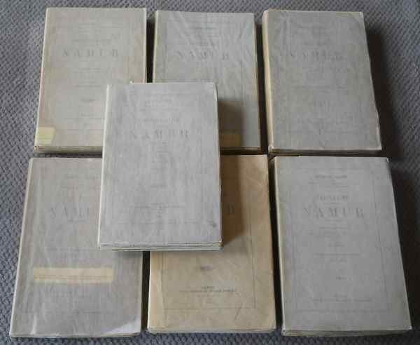 Cartulaire de la commune de Namur (7 volumes), Enlèvement, Utilisé