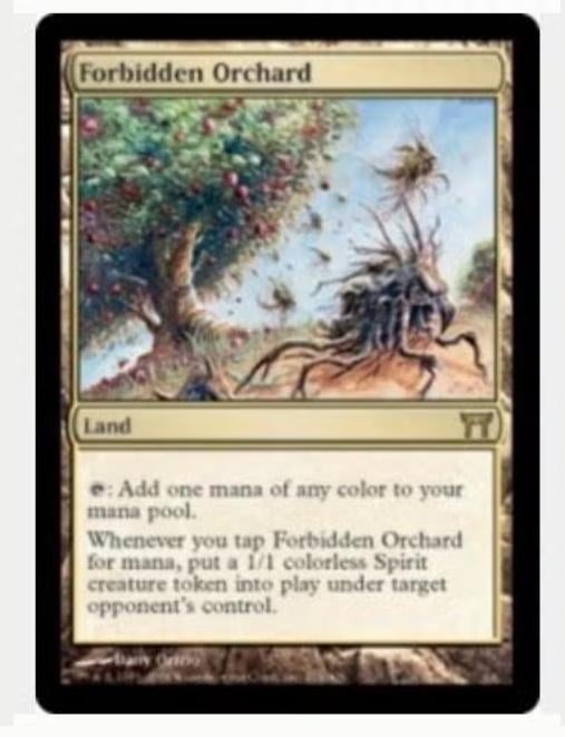 Forbidden Orchard -  LAND - - CHK - MTG - NM, Ophalen of Verzenden