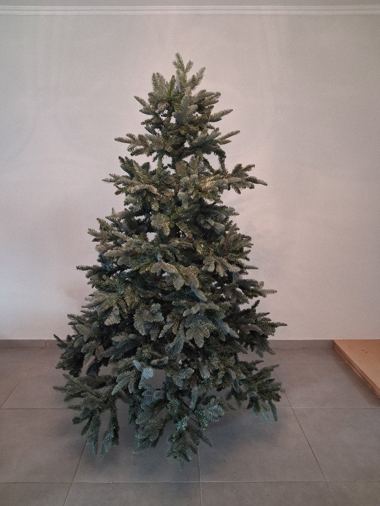 mooie grote (2m hoog) kerstboom Abies Nordmann Triumph tree, Diversen, Kerst, Ophalen, Zo goed als nieuw