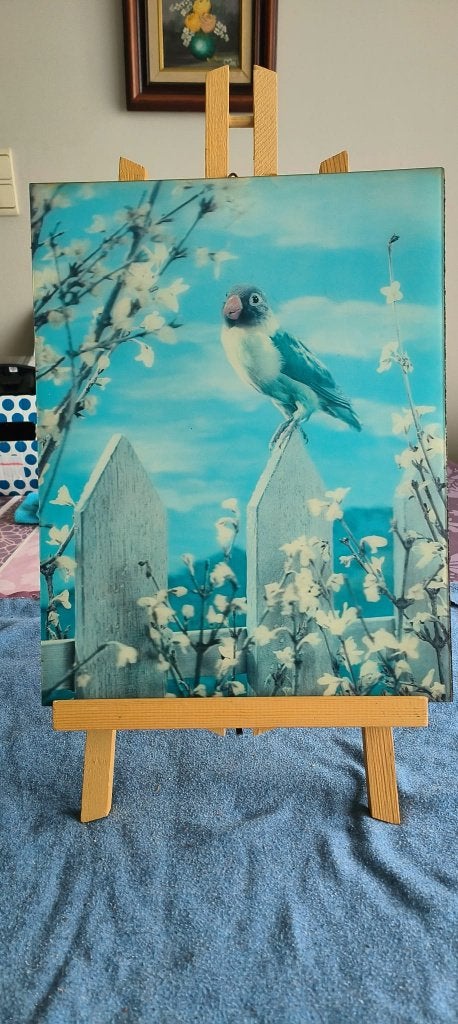 Decoratief 3D-kunstwerk van een Dwergpapegaai, Objet de décoration, 34 cm, Enlèvement, Utilisé