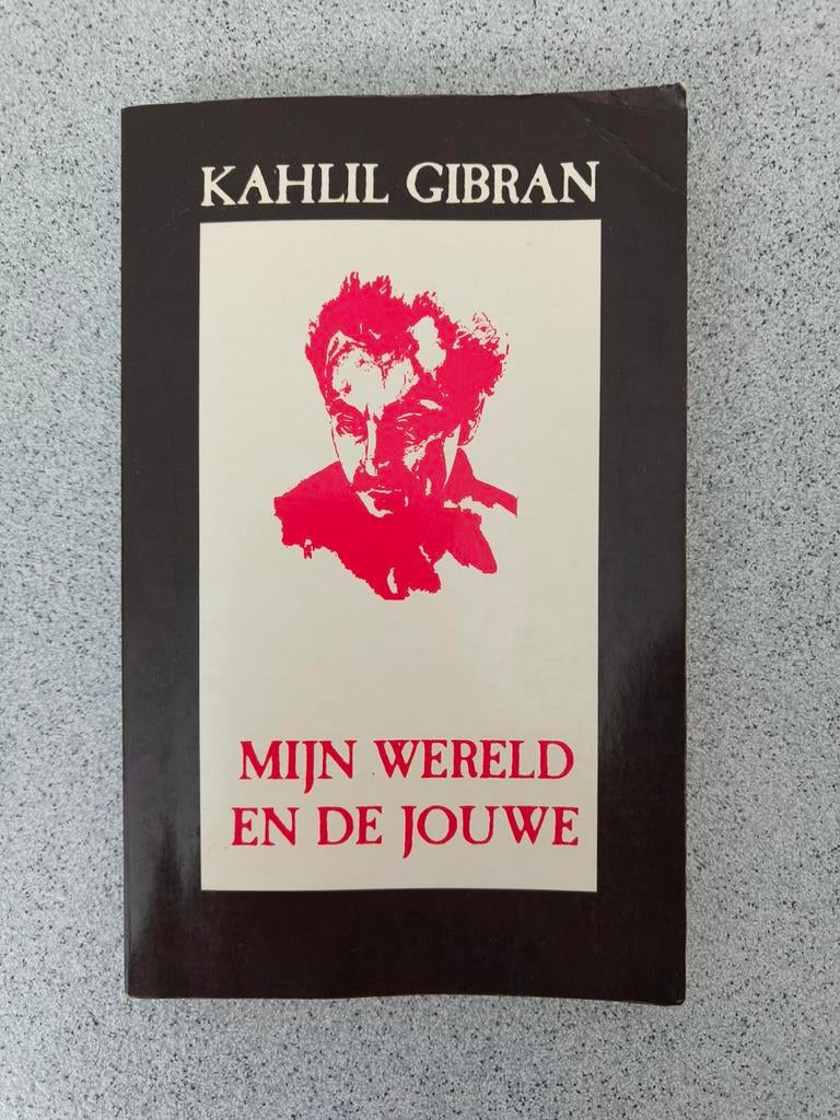 Kahlil Gibran Mijn wereld en de jouwe 110 blz goede staat, Boeken, Filosofie, Ophalen of Verzenden, Gelezen, Kahlil Gibran