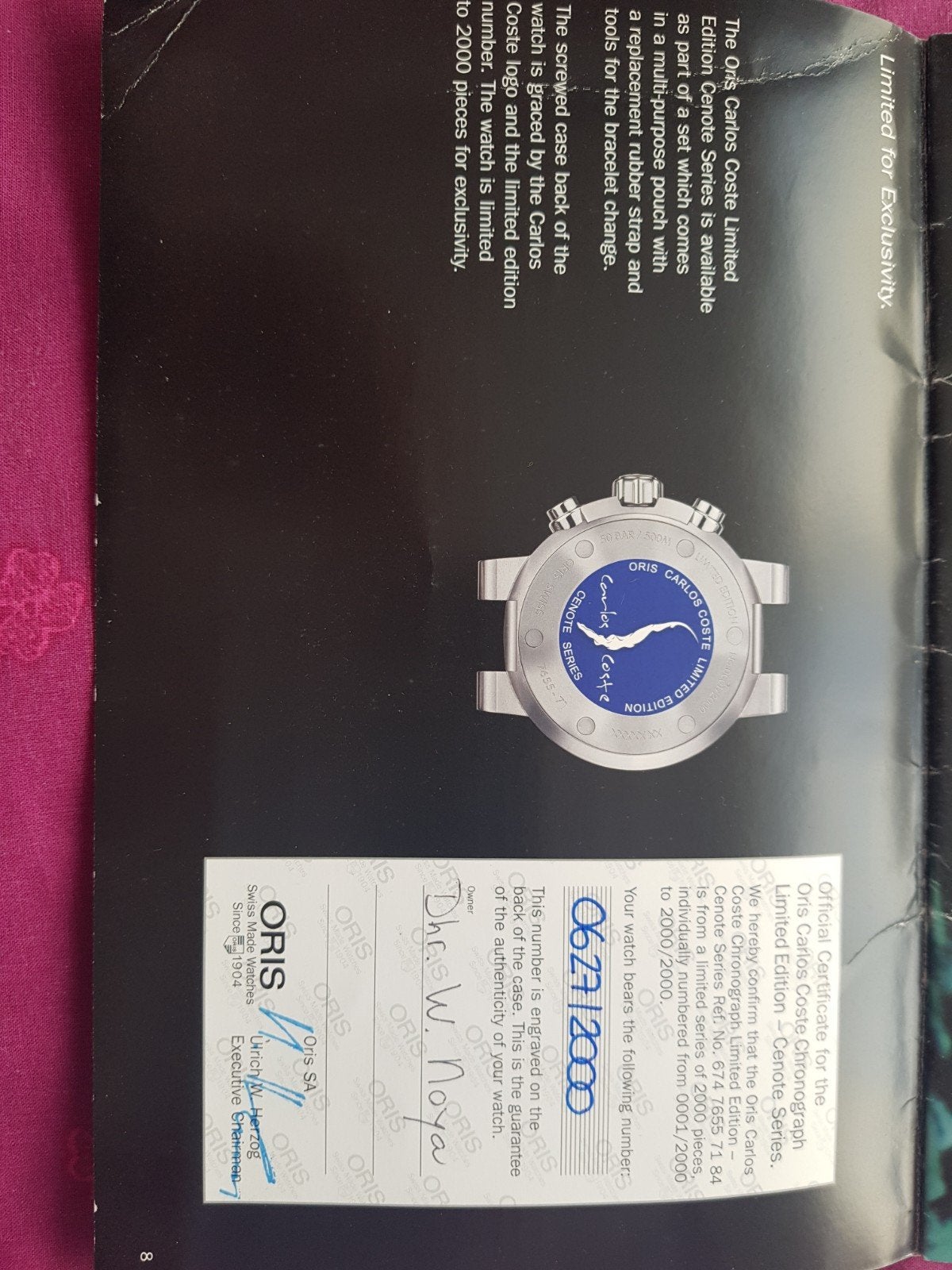 Oris diver horloge, Autos : Divers, Enlèvement