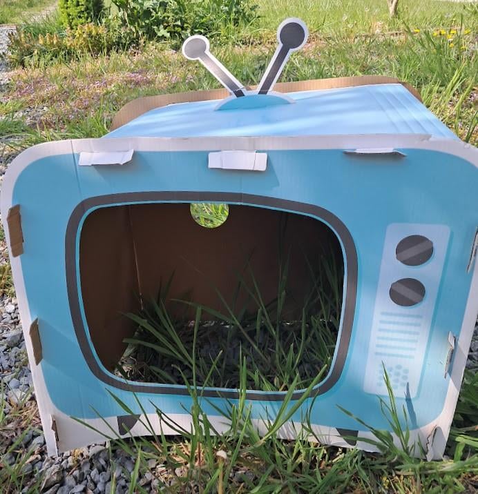 kartonnen televisie-huisje voor kat, Dieren en Toebehoren, Ophalen, Gebruikt