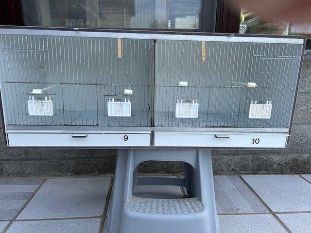 canaris, Animaux & Accessoires, Enlèvement, Utilisé, Bois, Cage d'élevage