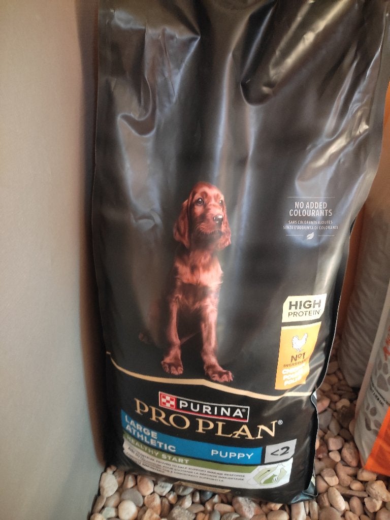 Proplan Large Athletic Puppy 2 * 12 kg, Animaux & Accessoires, Enlèvement, Chien
