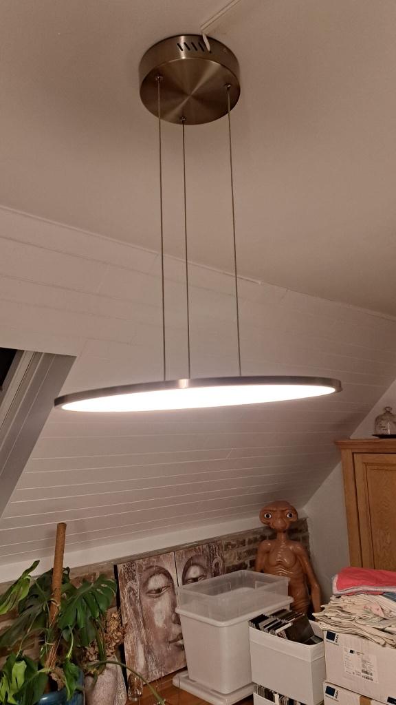Lamp, Huis en Inrichting, Lampen | Hanglampen, Ophalen, Zo goed als nieuw, Modern, 50 tot 75 cm
