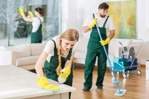 Ménage soigné et efficace – Grand nettoyage à domicile, Horaire variable, À partir de 5 ans, Autres formes, Convient comme travail d'appoint