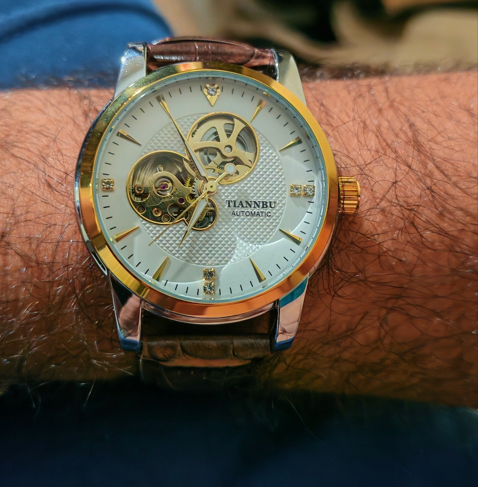 Montre Homme TIANNBU Automatic – Skeleton – Bracelet cuir ma, Handtassen en Accessoires, Verzenden, Conditie, Nieuw, Zilver