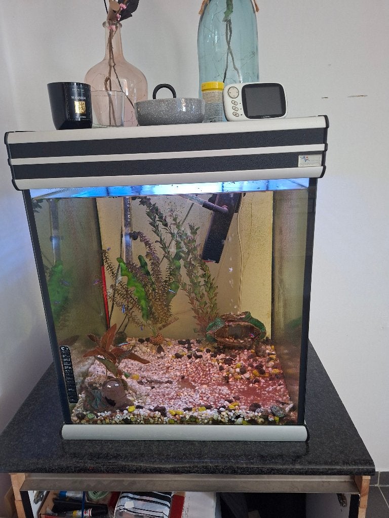 Aquarium met paar vissen warmtepomp en filter, Dieren en Toebehoren, Ophalen, Gebruikt, Aquatlantis, Aquariummeubel