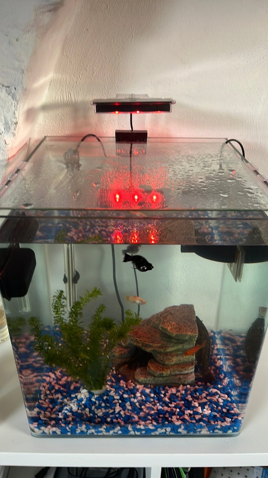 Aquarium, Ophalen, Zo goed als nieuw, Filter