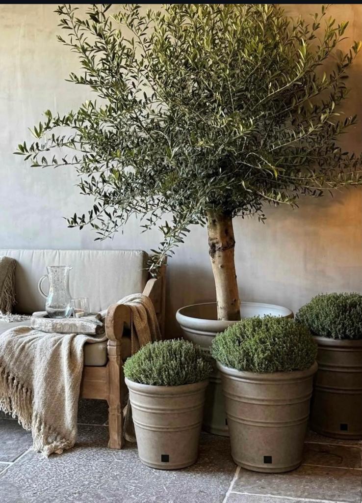 Buitenpotten Aura Peeperkorn, Enlèvement ou Envoi, Comme neuf, Jardin