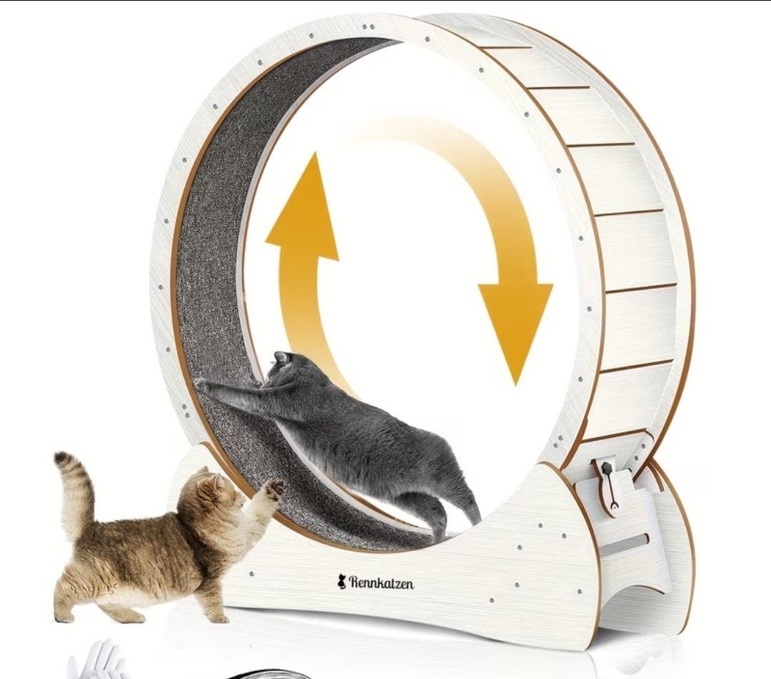 Roue Cat Roue de course. 135 cm., Enlèvement