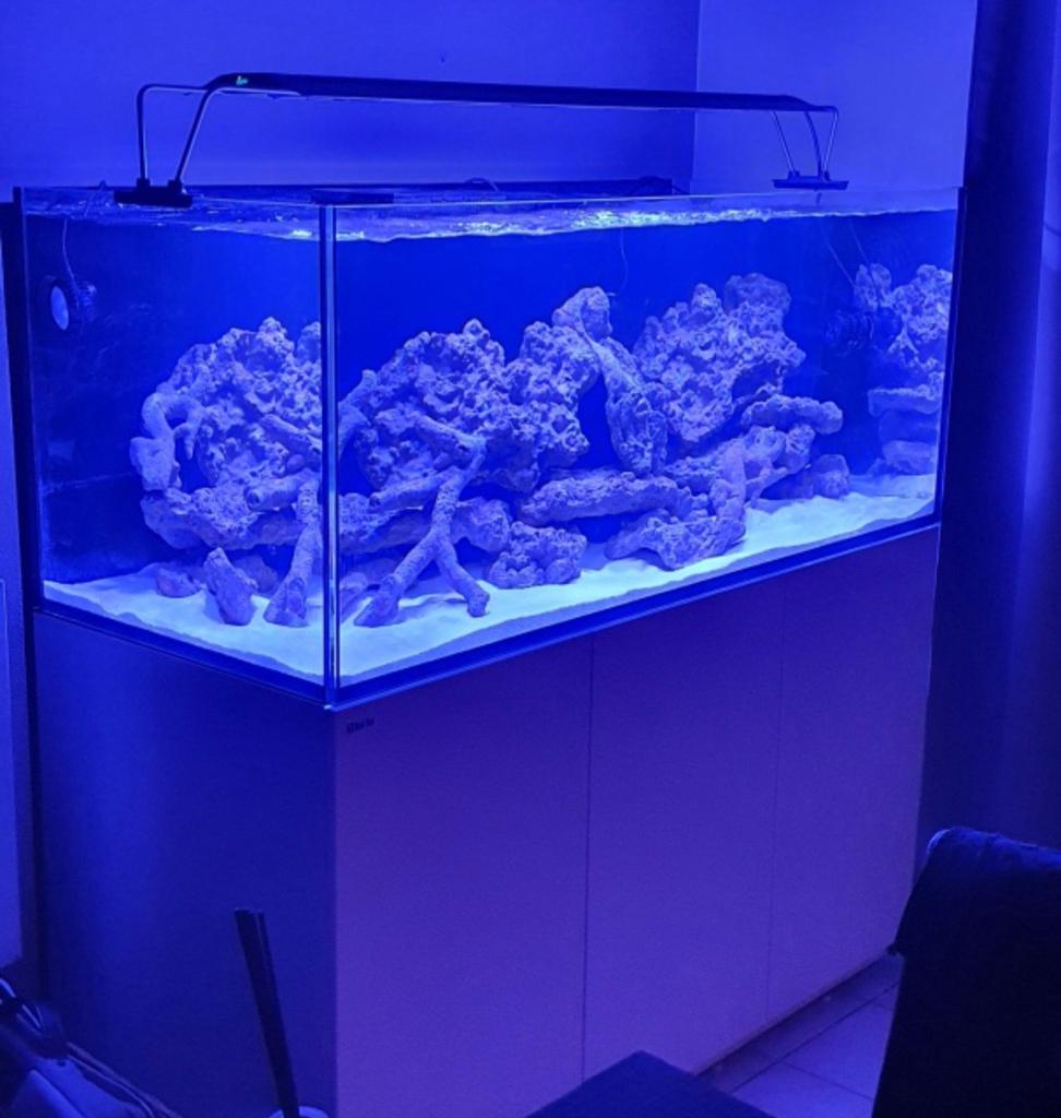 Maxspect RSX 300w + Wifi-controller + staanbeugels + ophangs, Dieren en Toebehoren, Ophalen