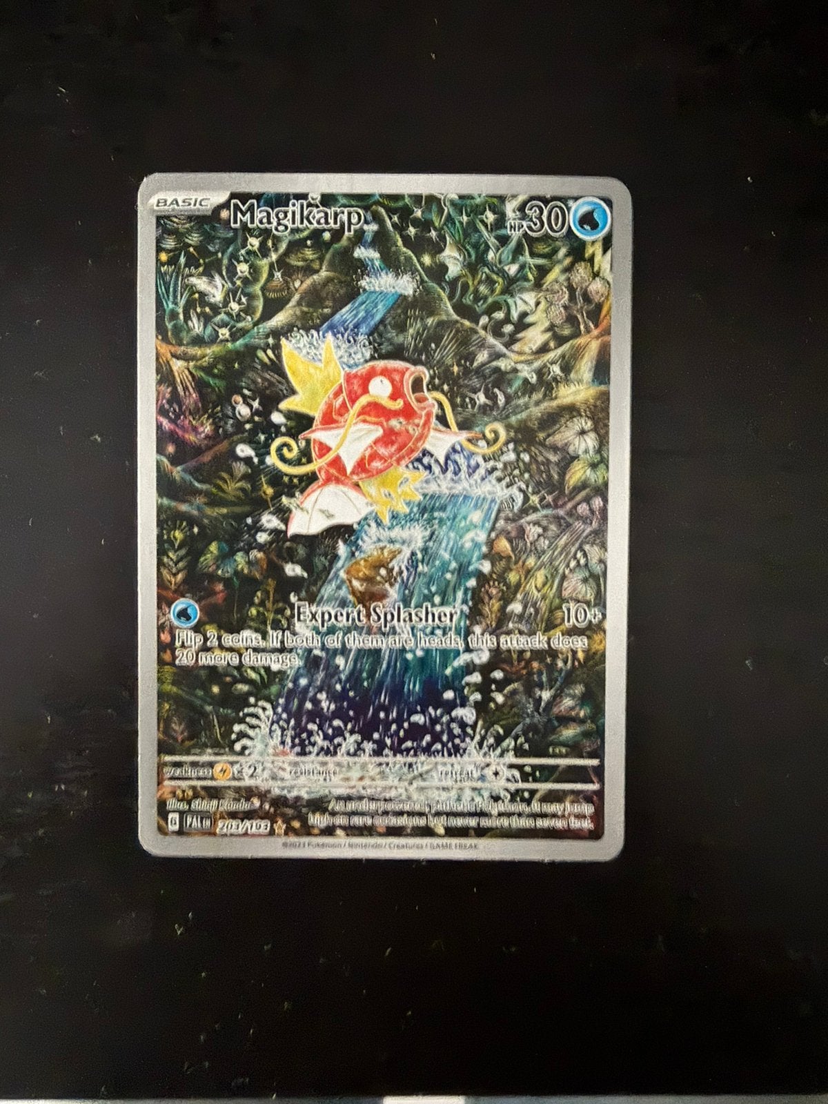 Le palais Magikarp 203 a évolué, Enlèvement, Comme neuf