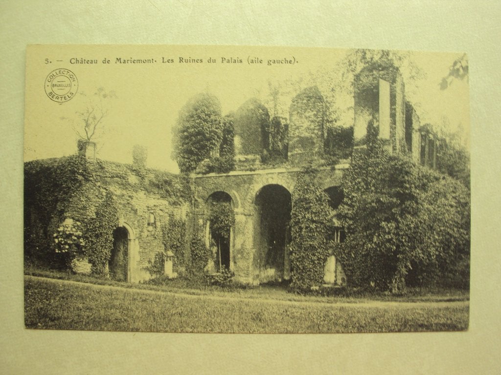 49635 - CHATEAU DE MARIEMONT - LES RUINES DU PALAIS, Collections, Envoi
