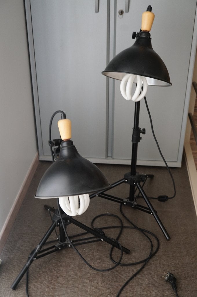 2 Foto Daglicht lampen kunnen tot 70 cm hoogte gezet worden, Ophalen, Inclusief lampen