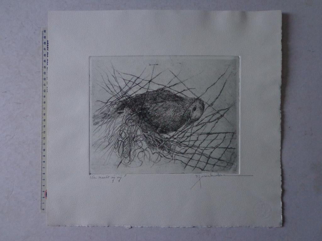 mooie ets Daniella Hasenbroekx "Vogel in nesten", Antiek en Kunst, Ophalen of Verzenden