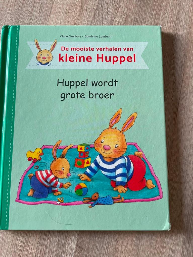 Kleine Huppel wordt grote broer, Boeken, Kinderboeken | Kleuters, Ophalen of Verzenden