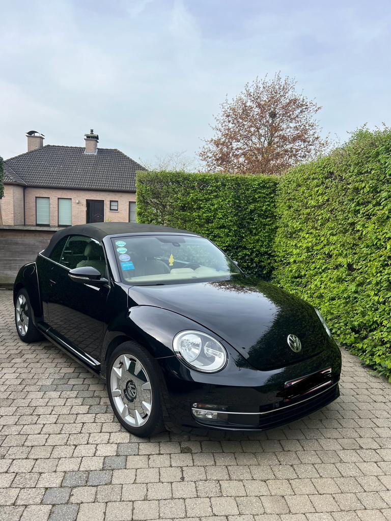 Volkswagen Beetle Cabriolet, Cuir, Achat, Cabriolet, Boîte manuelle