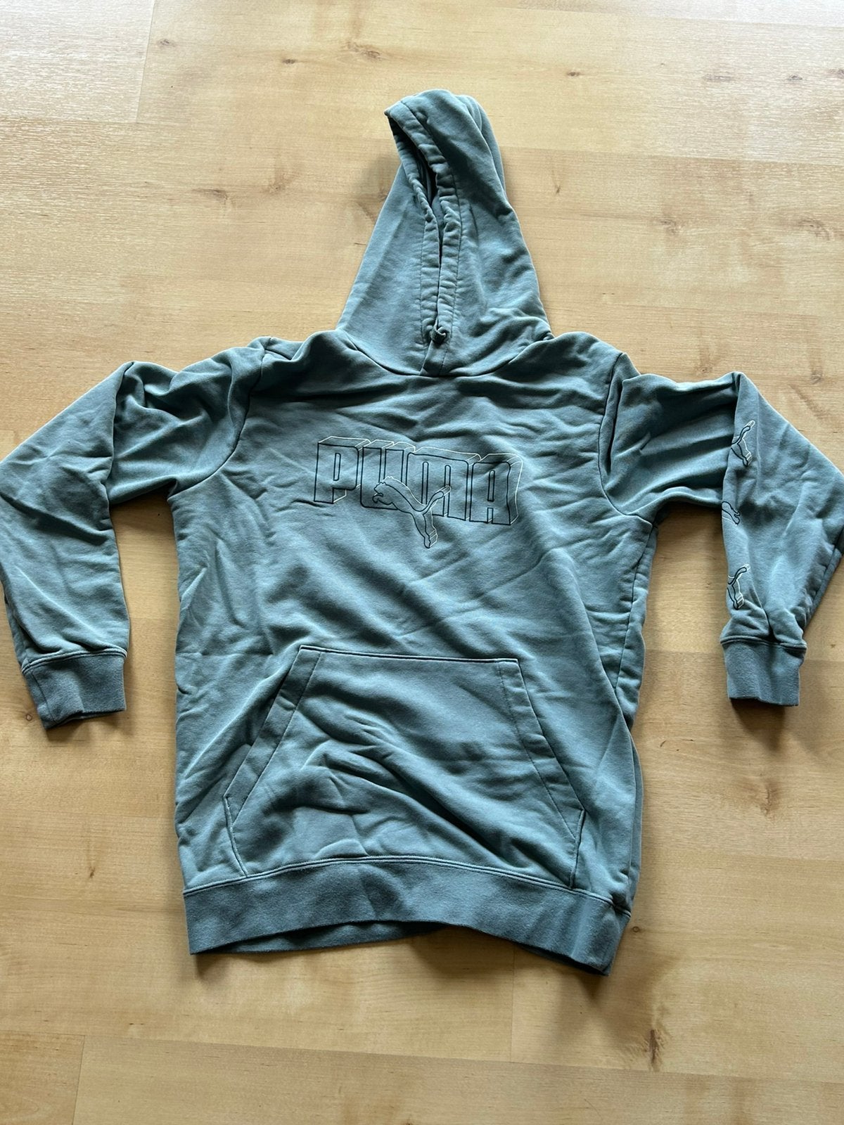 Puma Hoodie, Kleding | Heren, Truien en Vesten, Ophalen, Zo goed als nieuw, Maat 48/50 (M), Blauw