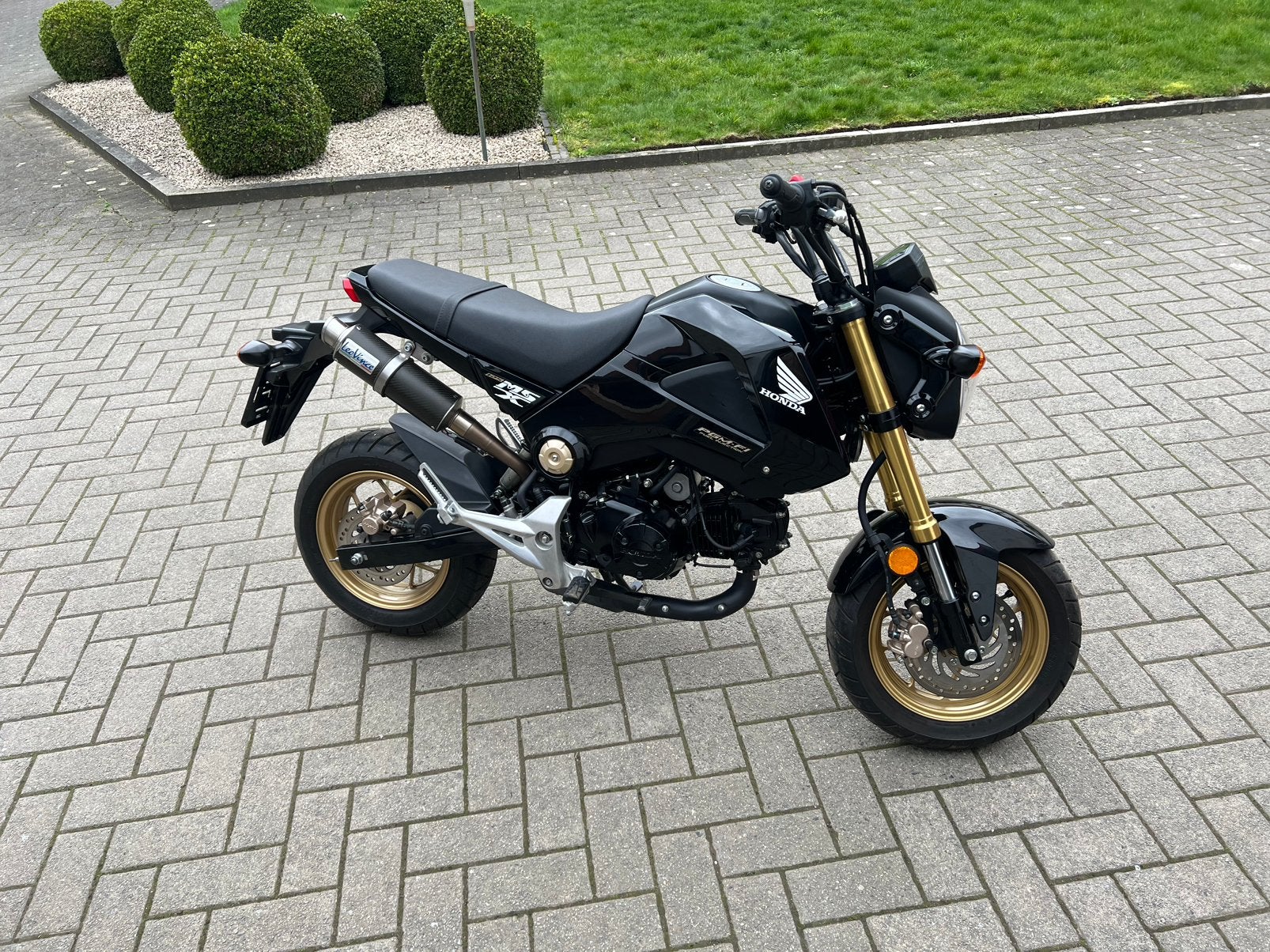 MSX 125 cc, Tourisme, Occasion, Permis Moto A1 minimum, 1 cylindre